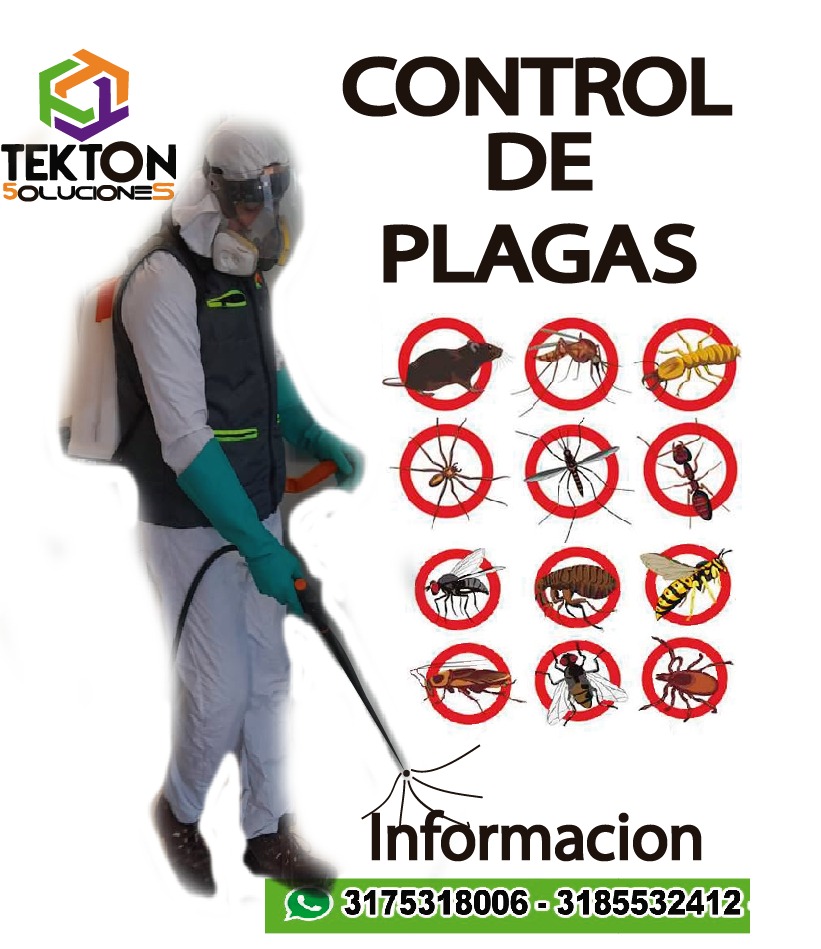 Tektondam sas - Imagen 15